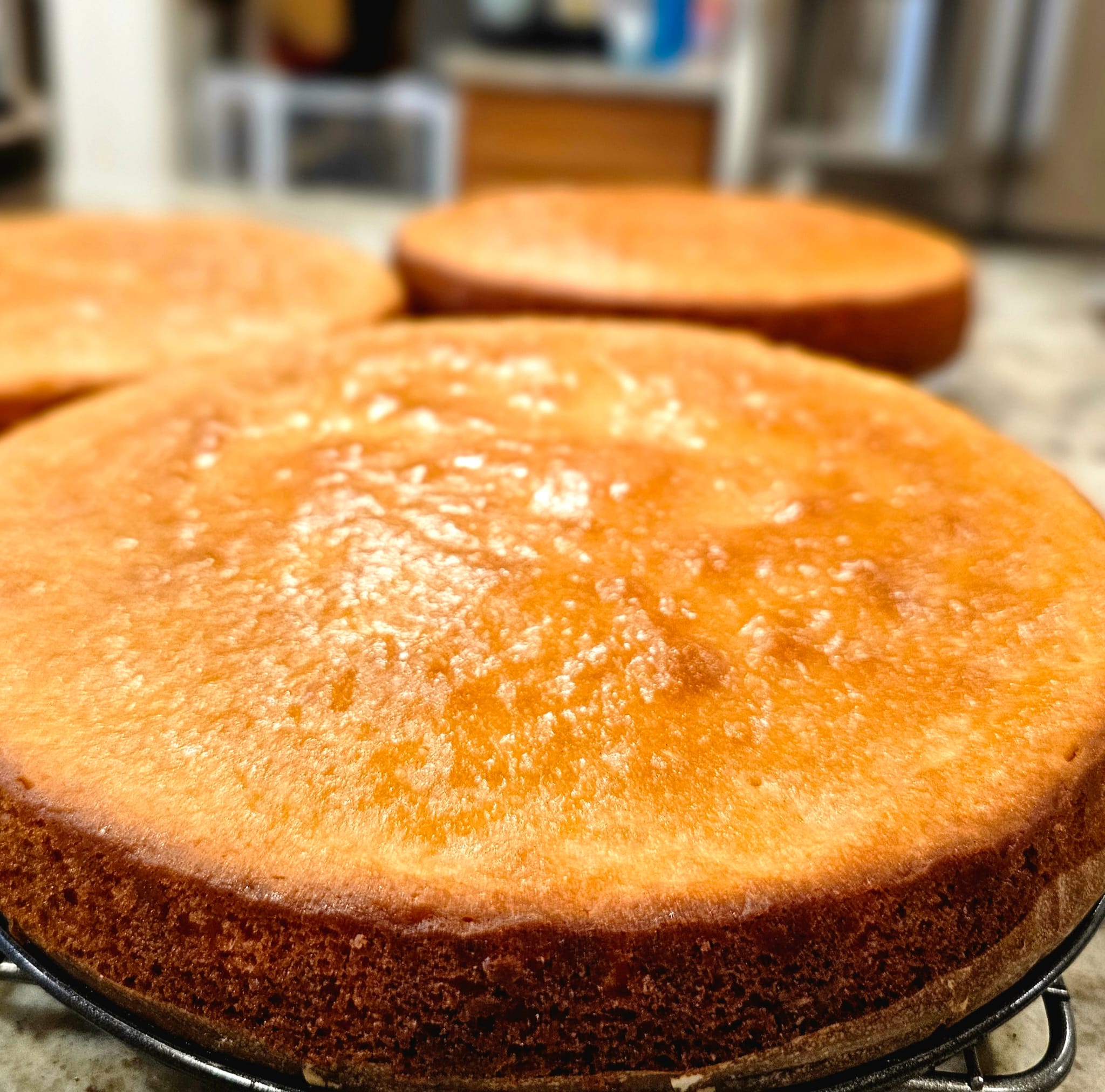 Eggless Vanilla Sponge cake